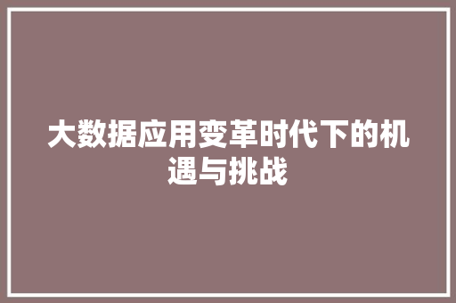大数据应用变革时代下的机遇与挑战