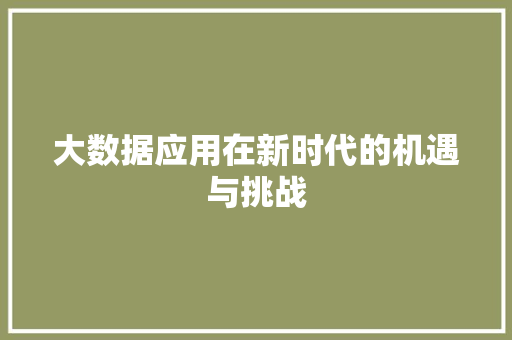 大数据应用在新时代的机遇与挑战