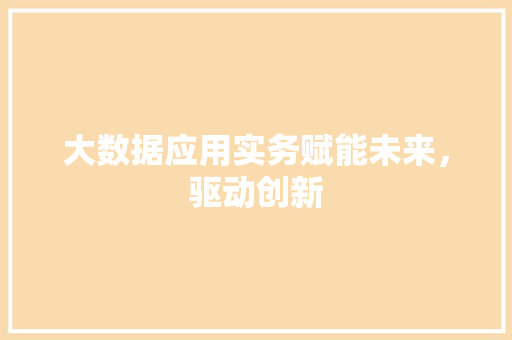 大数据应用实务赋能未来，驱动创新