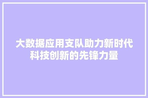 大数据应用支队助力新时代科技创新的先锋力量
