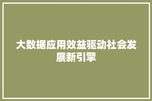 大数据应用效益驱动社会发展新引擎