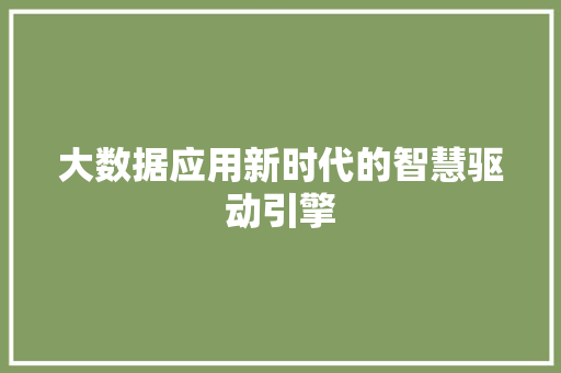大数据应用新时代的智慧驱动引擎