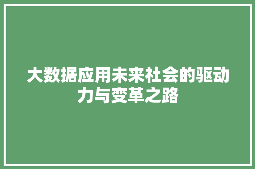大数据应用未来社会的驱动力与变革之路