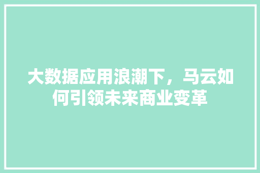大数据应用浪潮下，马云如何引领未来商业变革
