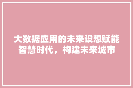 大数据应用的未来设想赋能智慧时代，构建未来城市