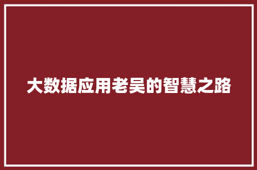 大数据应用老吴的智慧之路