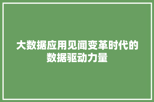 大数据应用见闻变革时代的数据驱动力量