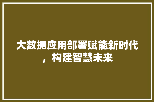 大数据应用部署赋能新时代，构建智慧未来