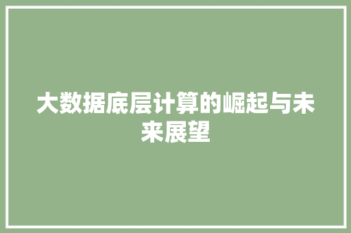 大数据底层计算的崛起与未来展望 电脑配置