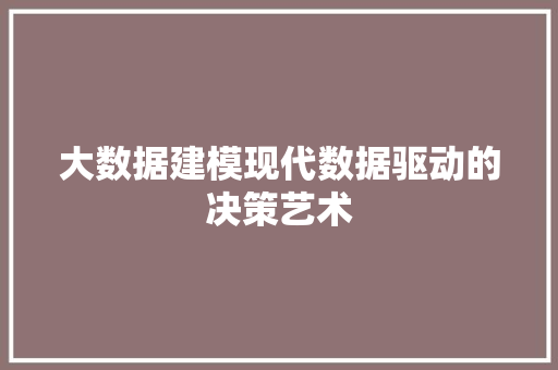 大数据建模现代数据驱动的决策艺术