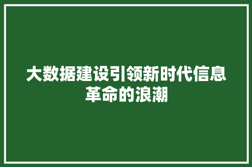 大数据建设引领新时代信息革命的浪潮