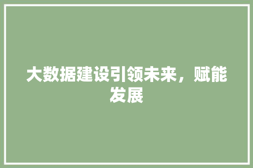 大数据建设引领未来，赋能发展