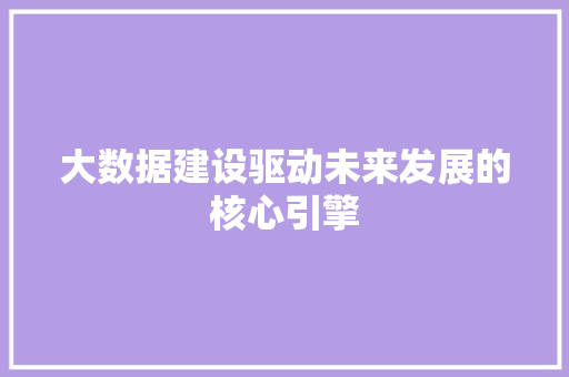 大数据建设驱动未来发展的核心引擎