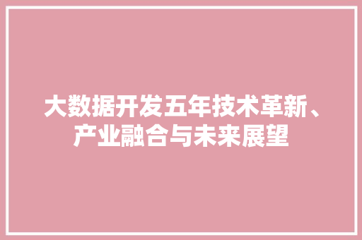 大数据开发五年技术革新、产业融合与未来展望