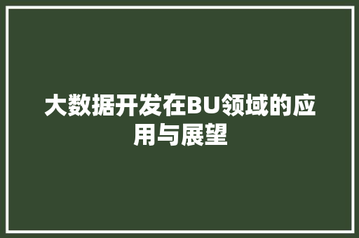 大数据开发在BU领域的应用与展望