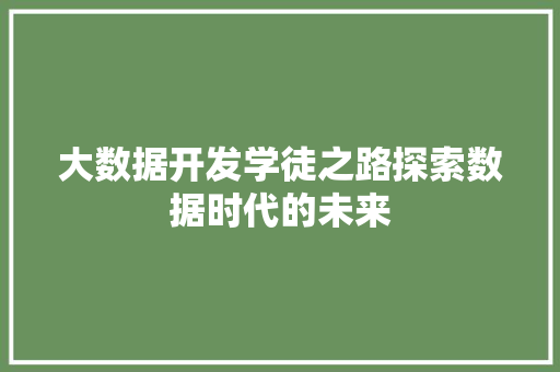 大数据开发学徒之路探索数据时代的未来