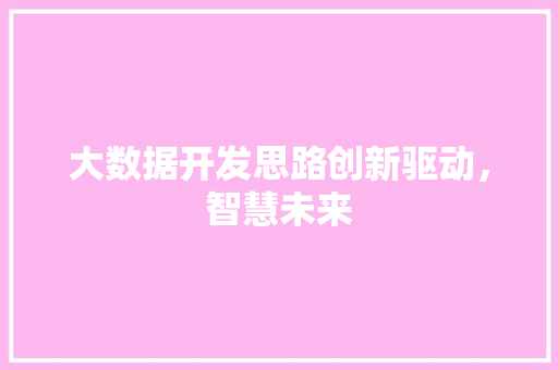 大数据开发思路创新驱动，智慧未来