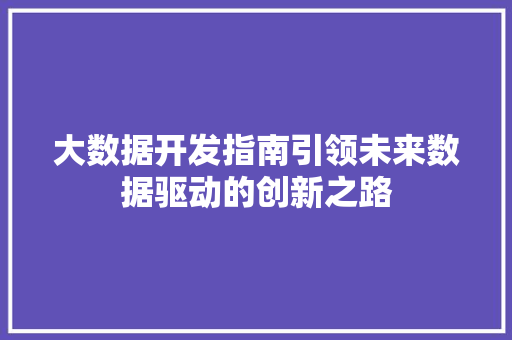 大数据开发指南引领未来数据驱动的创新之路