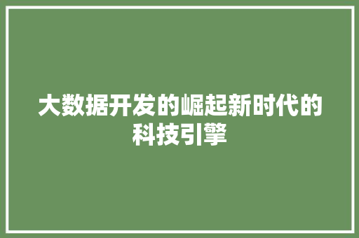 大数据开发的崛起新时代的科技引擎