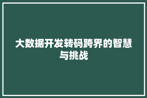 大数据开发转码跨界的智慧与挑战