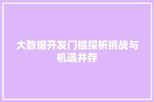 大数据开发门槛探析挑战与机遇并存