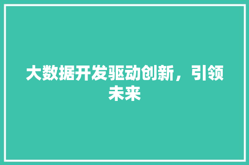 大数据开发驱动创新，引领未来