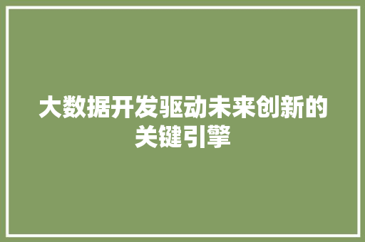 大数据开发驱动未来创新的关键引擎