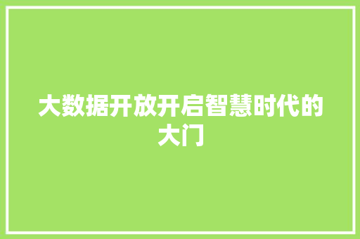 大数据开放开启智慧时代的大门