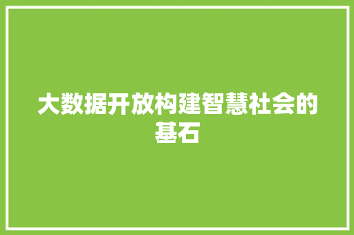 大数据开放构建智慧社会的基石
