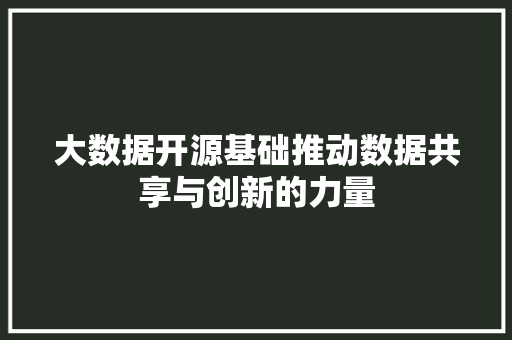 大数据开源基础推动数据共享与创新的力量