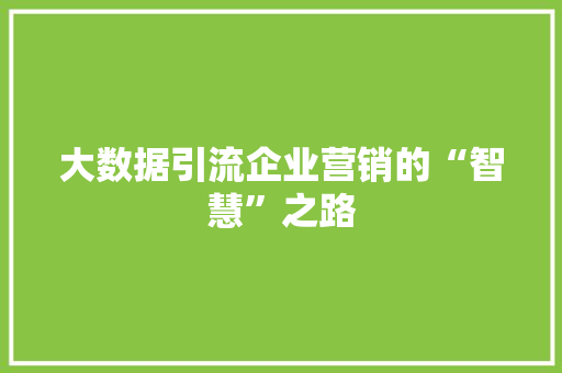 大数据引流企业营销的“智慧”之路