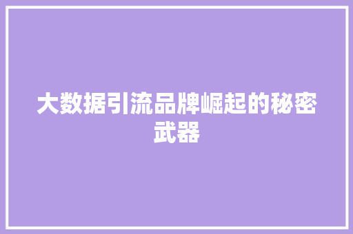 大数据引流品牌崛起的秘密武器
