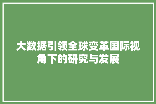 大数据引领全球变革国际视角下的研究与发展
