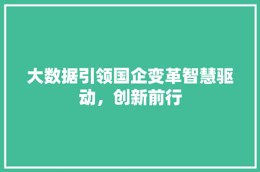 大数据引领国企变革智慧驱动，创新前行