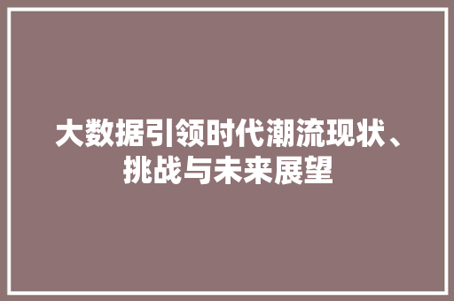 大数据引领时代潮流现状、挑战与未来展望 编程语言