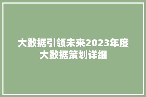 大数据引领未来2023年度大数据策划详细