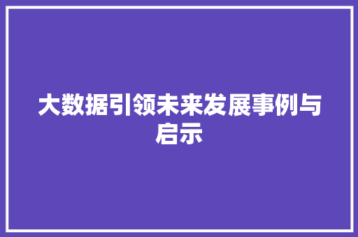 大数据引领未来发展事例与启示