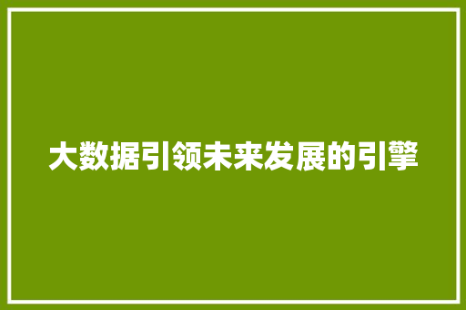 大数据引领未来发展的引擎
