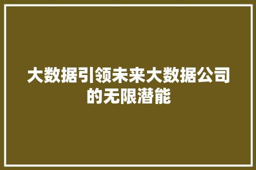 大数据引领未来大数据公司的无限潜能