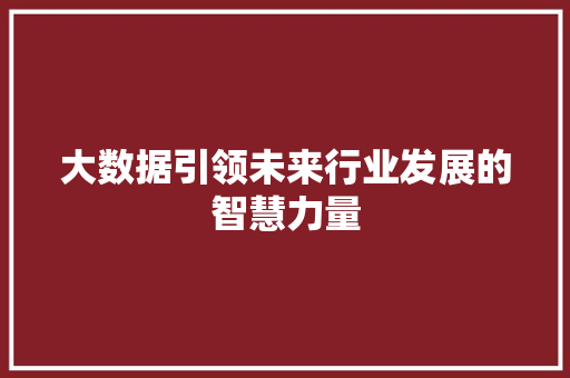 大数据引领未来行业发展的智慧力量