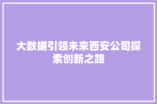 大数据引领未来西安公司探索创新之路 大数据引领未来西安公司探索创新之路