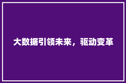 大数据引领未来，驱动变革