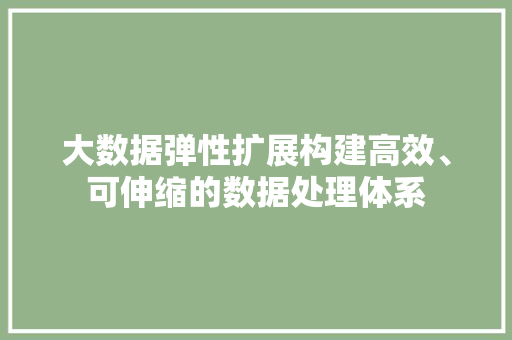 大数据弹性扩展构建高效、可伸缩的数据处理体系 电脑基础