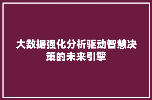 大数据强化分析驱动智慧决策的未来引擎