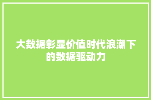大数据彰显价值时代浪潮下的数据驱动力 编程语言
