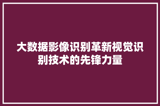 大数据影像识别革新视觉识别技术的先锋力量 大数据影像识别革新视觉识别技术的先锋力量