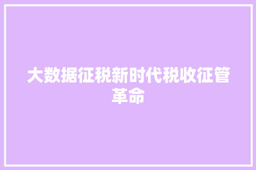 大数据征税新时代税收征管革命 大数据征税新时代税收征管革命
