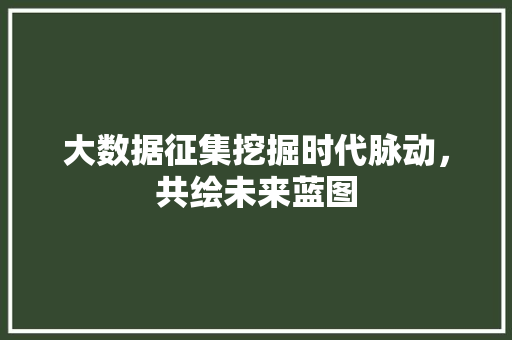 大数据征集挖掘时代脉动,共绘未来蓝图 大数据征集挖掘时代脉动,共绘未来蓝图