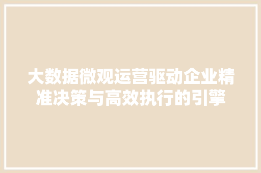 大数据微观运营驱动企业精准决策与高效执行的引擎 大数据微观运营驱动企业精准决策与高效执行的引擎