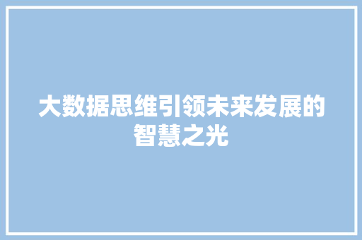 大数据思维引领未来发展的智慧之光 网络技术